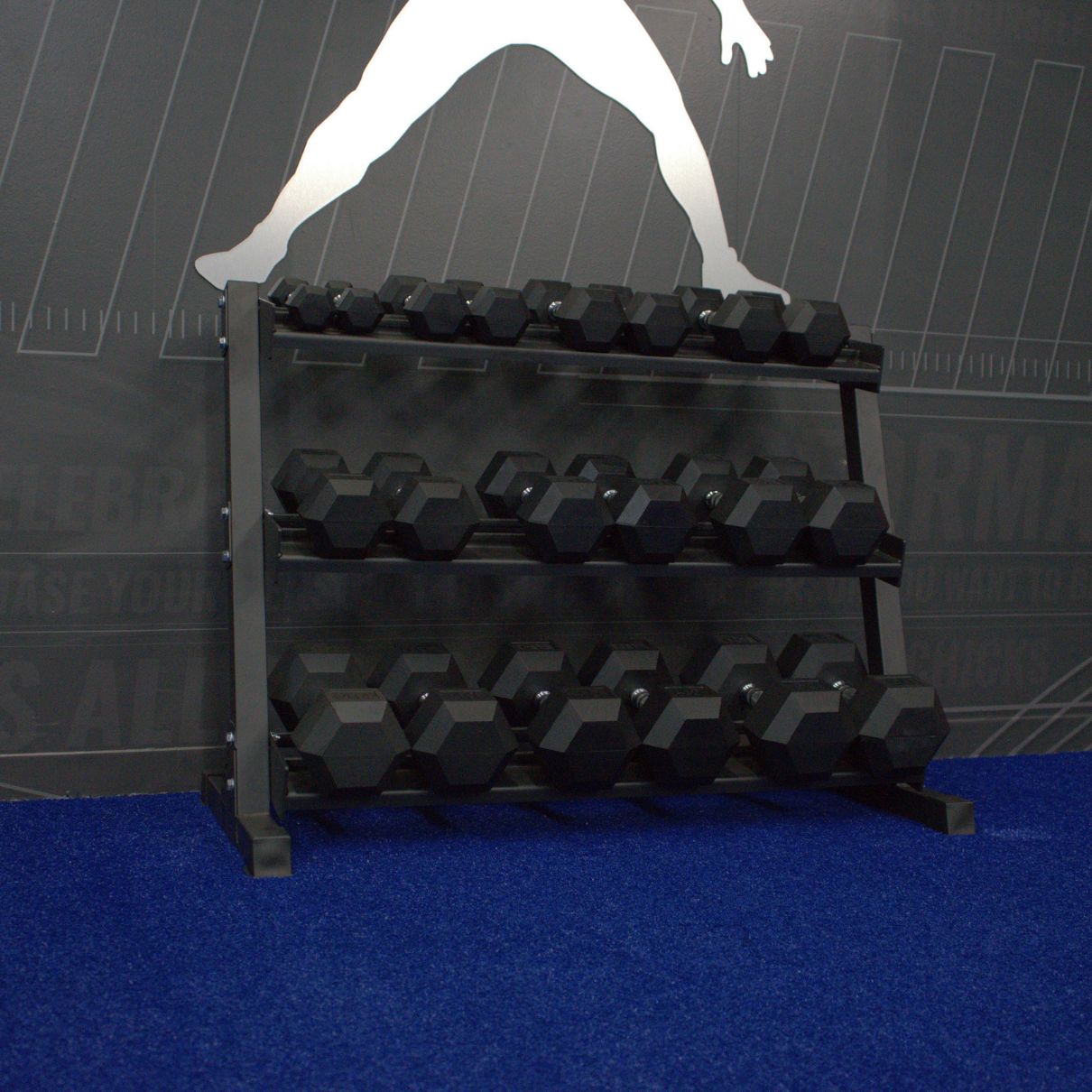 5-50 lb Dumbbell Set with 3-Tier Rack