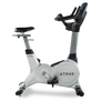 True ES900 Upright Bike