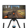 Matrix IX22 HD Display for ICR50