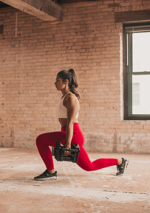 PowerBlocks 5-50 lbs. Dumbbells (Stage 1)